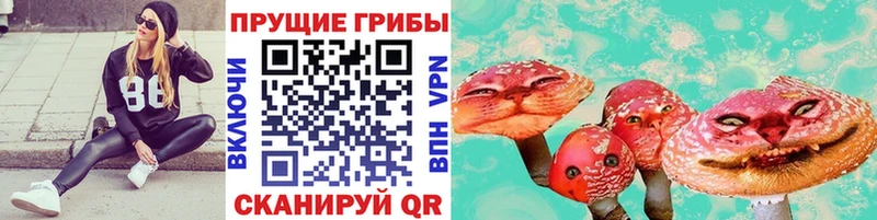 Псилоцибиновые грибы Psilocybe  ОМГ ОМГ ссылки  Казань 